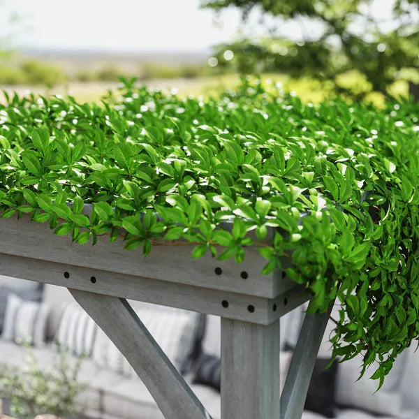 Outsunny 12' x 20' Outdoor Wooden Pergola, Grape Vine Gazebo with Concrete Anchors for Garden, Patio, Backyard, Deck, Gray - product image 8