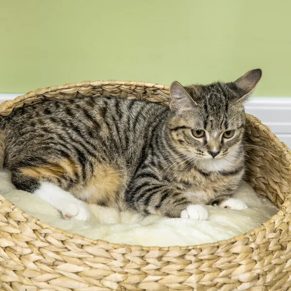 PawHut 28" Elevated Cat Bed with Sisal Scratching Post for Indoor Kitties, Modern Cat Tree with Cute Basket Design, Small Cat Tree with Fun Ball Toy - product image 9