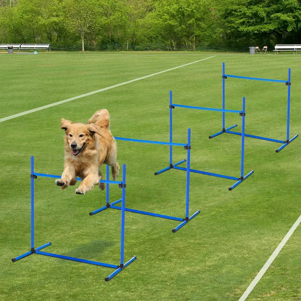 PawHut 4 Piece Dog Agility Starter Kit, Adjustable Jump Bars, Carry Bag, Blue - product image 16