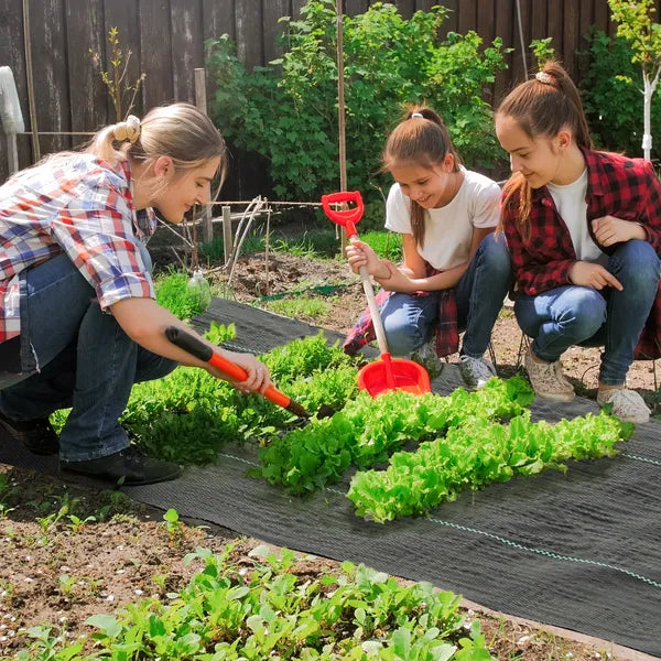 Outsunny 4 Ft x 300 Ft Weed Barrier Landscape Fabric, 5oz Heavy Duty Woven Weed Control Fabric for Landscaping - product image 2