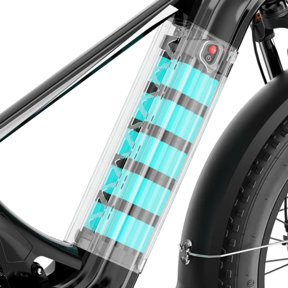Aipas M2 Xterrain Ebike Aipas-M2-black Baskets