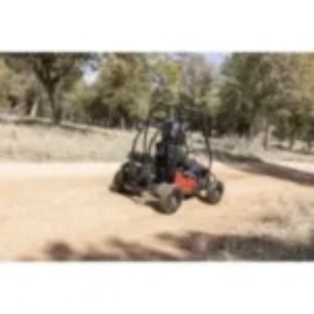 Coleman Powersports GK100 One-Seater Go Karts