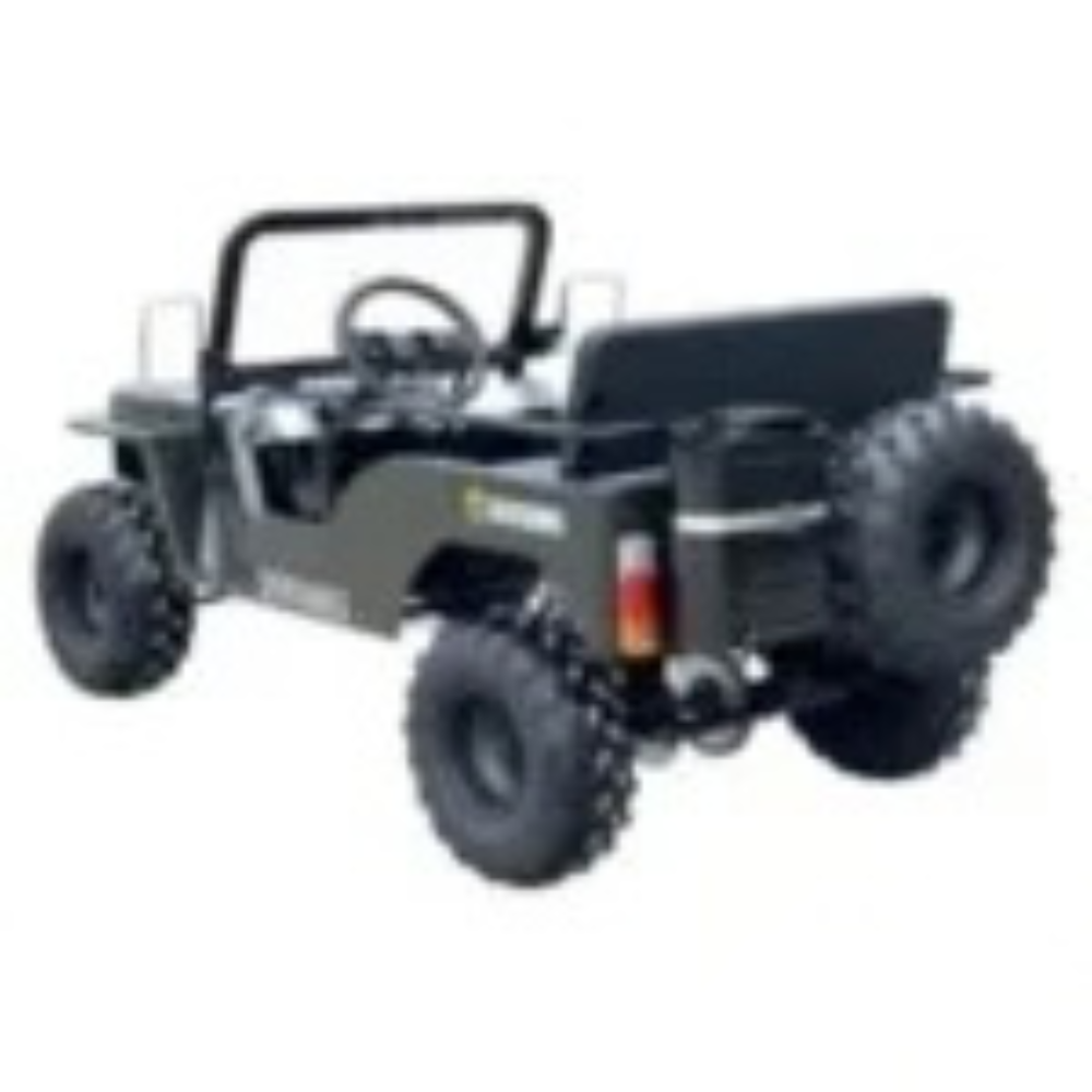 Massimo Minis 125 Go Karts 125cc 9hp