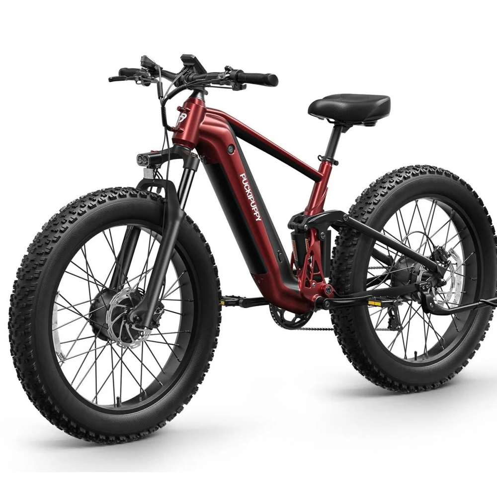 PUCKIPUPPY GoldenR Dual-Motor E-Bikes