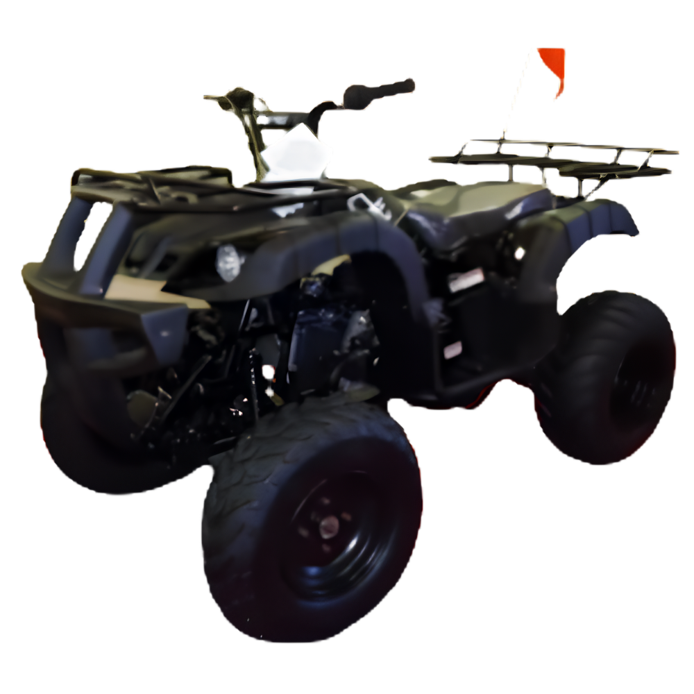 Rps 200cc Utiliity 169 cc ATV