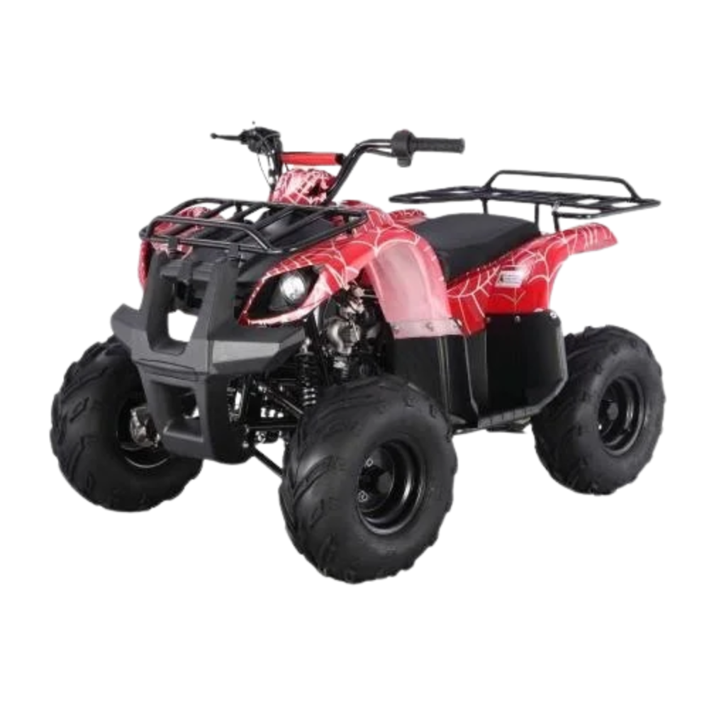 Tao Motors D125 Kids ATVs