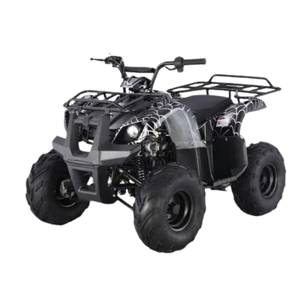 Tao Motors D125 Kids ATVs