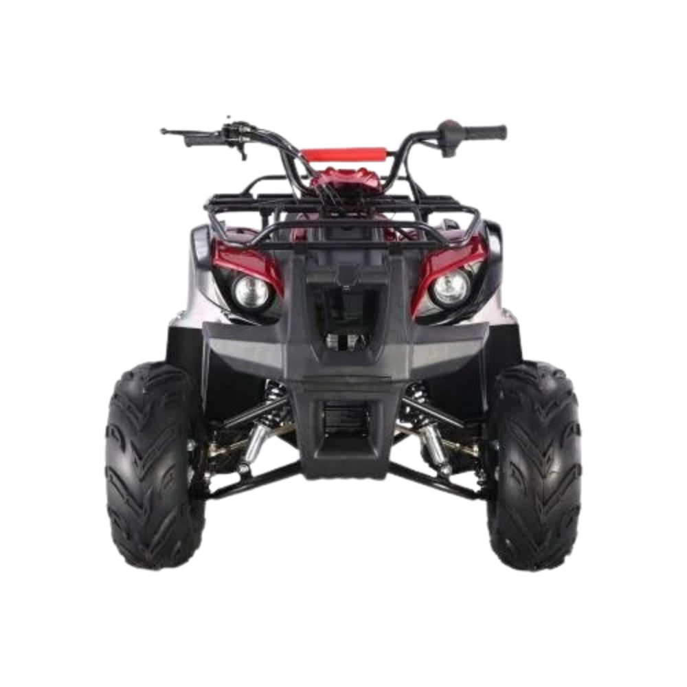 Tao Motors D125 Kids ATVs