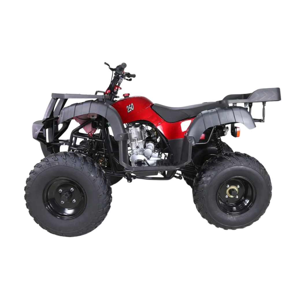 Taotao 250 Rhiino Adult Utility ATV
