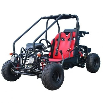Taotao GK110 Kids Gas Go Kart Dune Buggys
