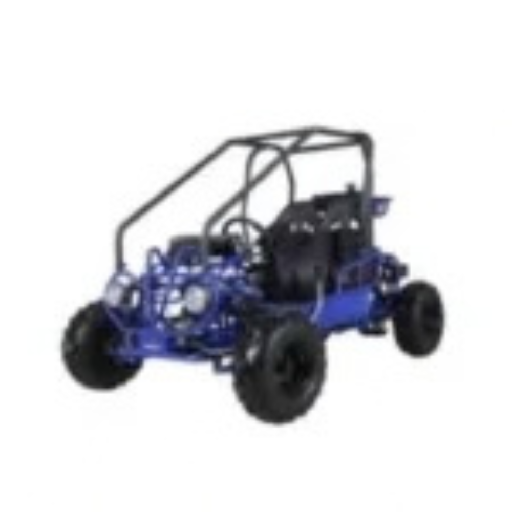 Taotao GK110 Kids Gas Go Kart Dune Buggys