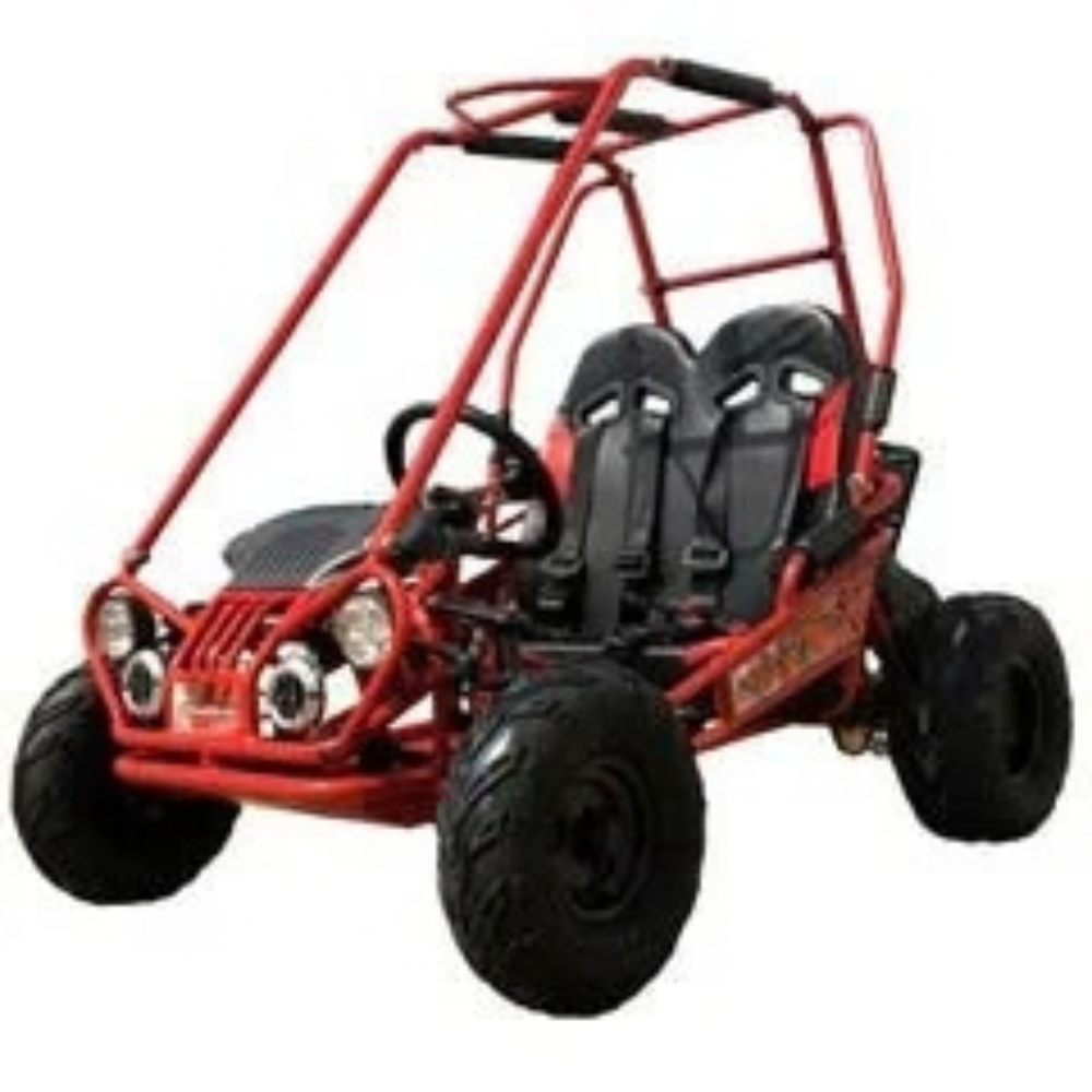 Trailmaster Mini XRX+ 2- Seater GO-KART EAGLE SERIES 163cc Blues