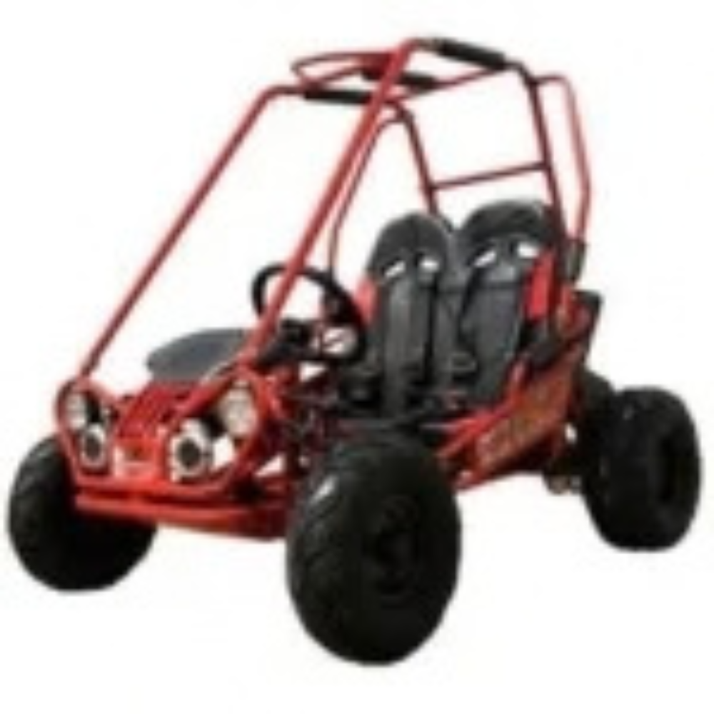 Trailmaster Mini XRX+ 2- Seater GO-KART EAGLE SERIES 163cc Blues