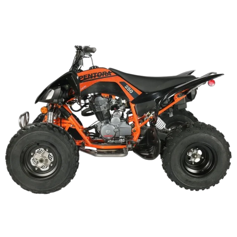 Vitaccii Pentora Racing ATV