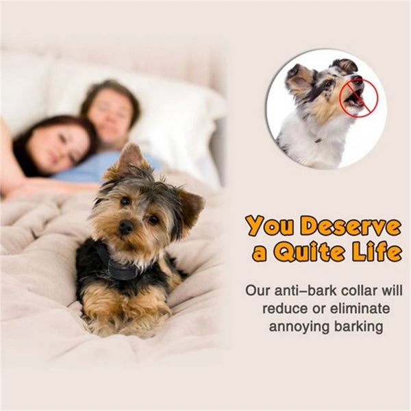 Automatic Anti Bark Training Collar for Small Medium and Large Dogs - product view 12