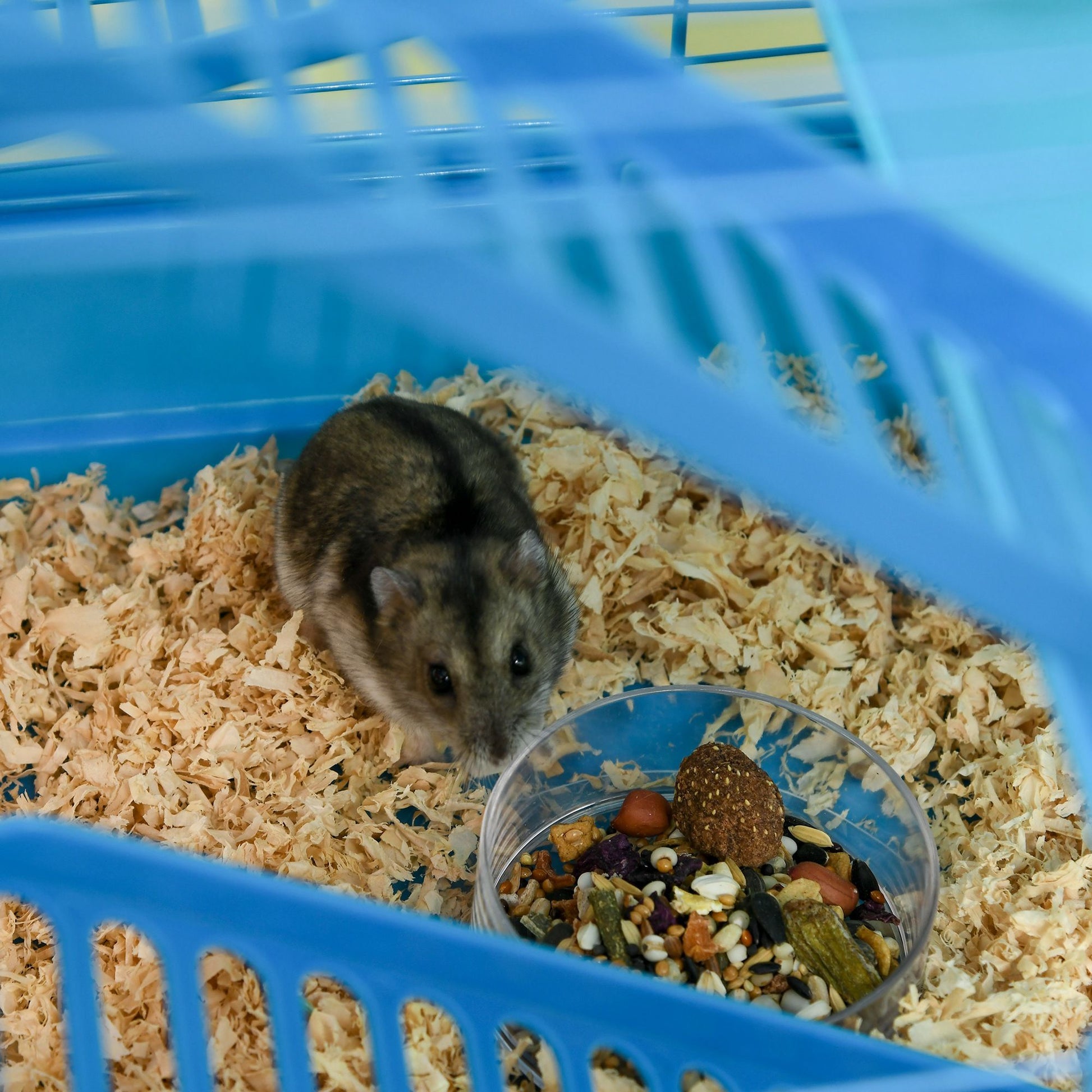 PawHut 5-Tier Hamster Cage with Accessories, Blue