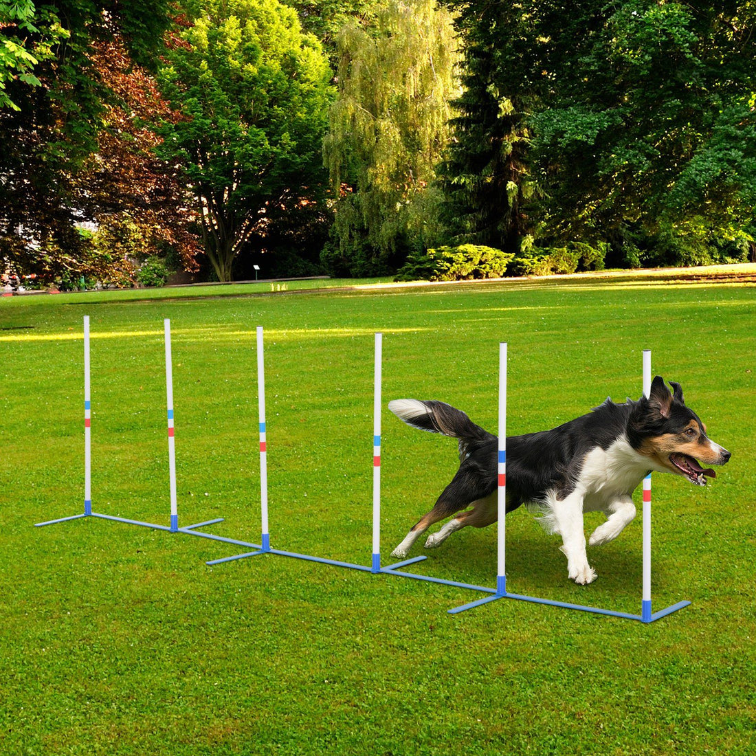 PawHut 6-Pole Dog Agility Weave Pole Training Set, White