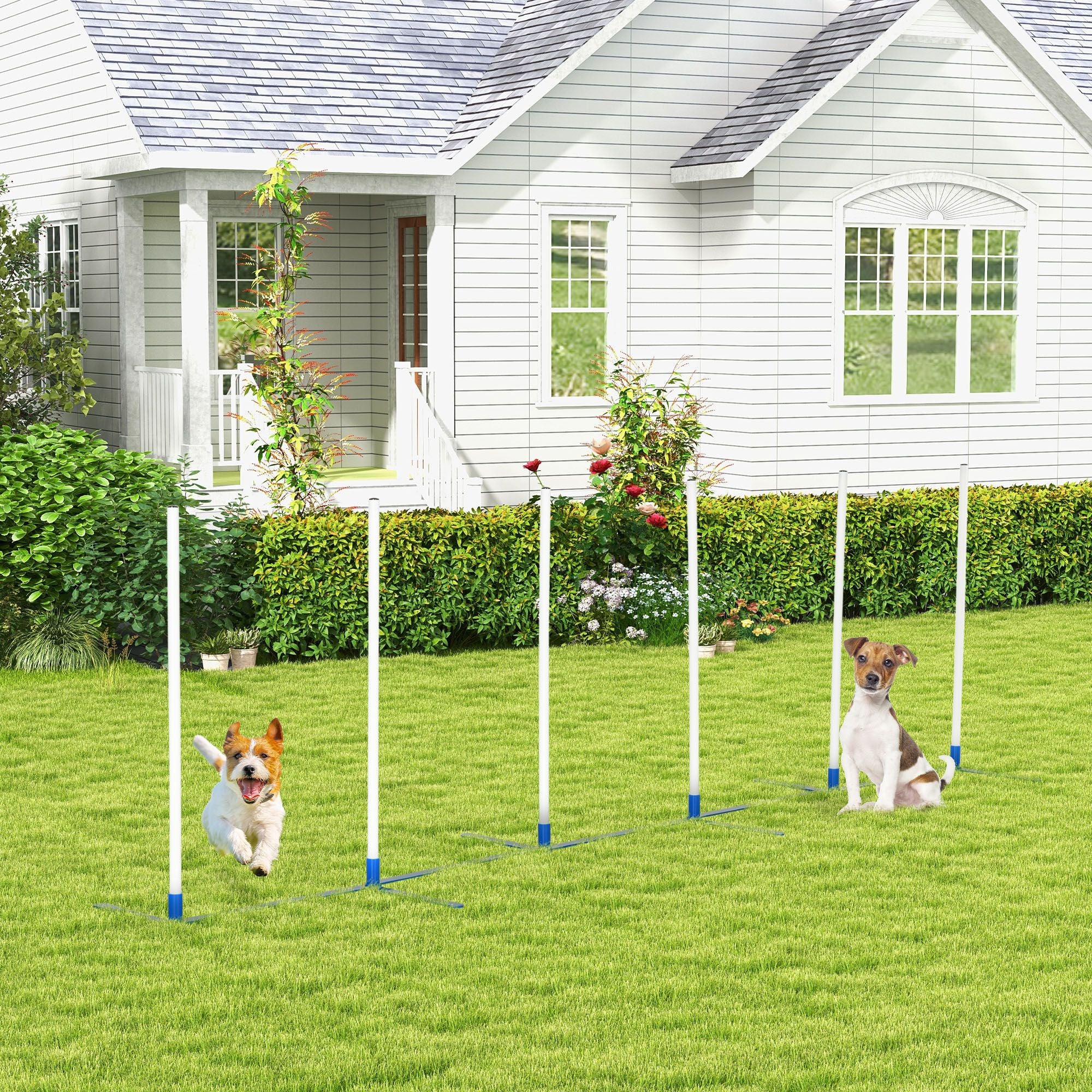 PawHut 6-Pole Dog Agility Weave Pole Training Set, White