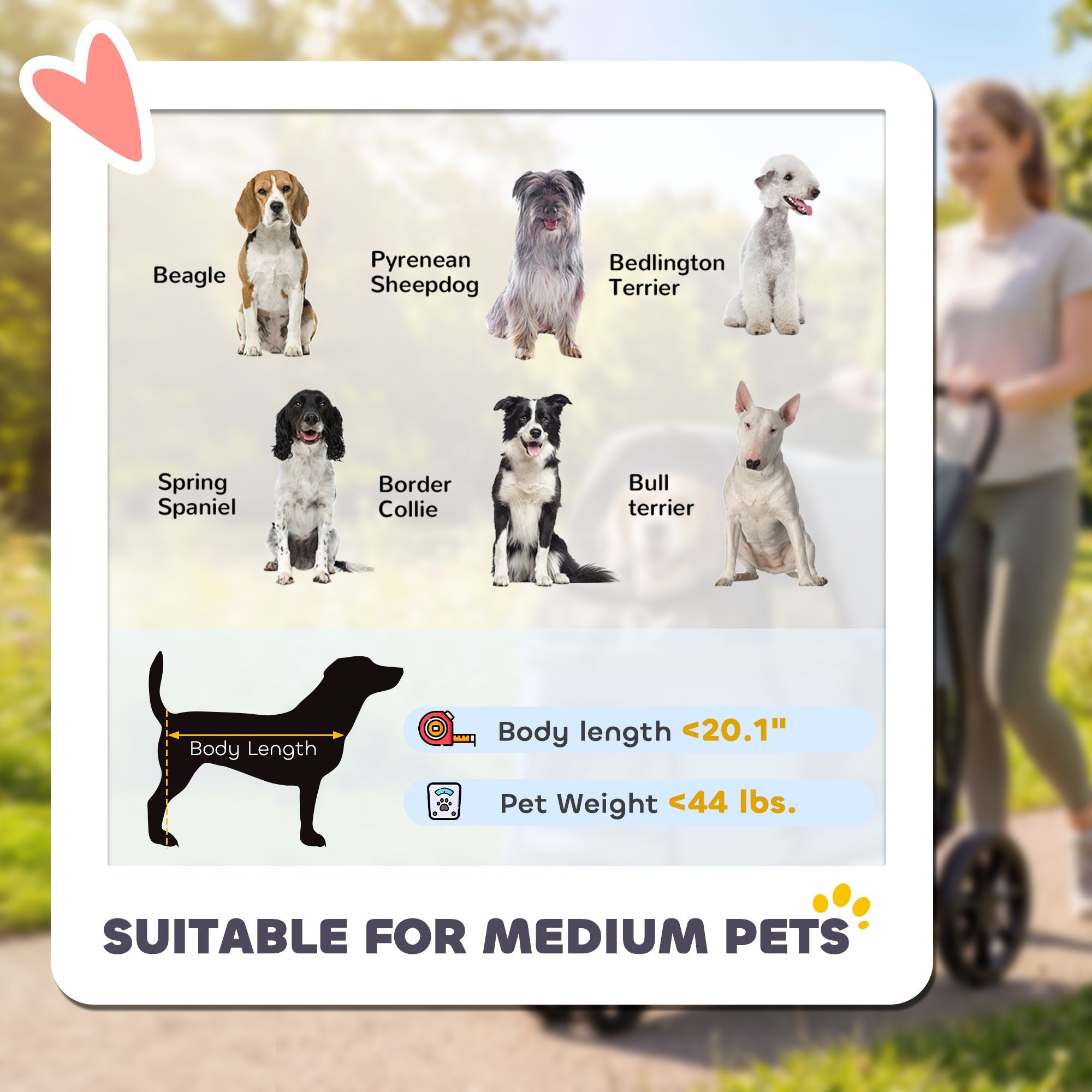 PawHut 3-Wheel Foldable Pet Stroller with Mesh Windows and Cushion, Gray - product view 8