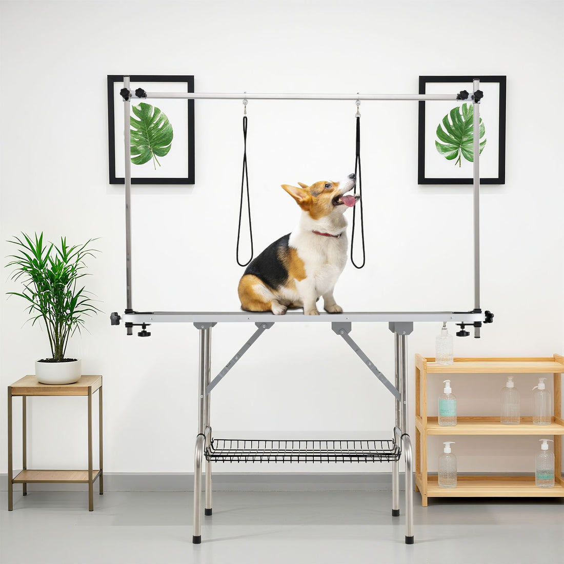 Foldable Dog Grooming Table with Height Adjustable Arms - Black