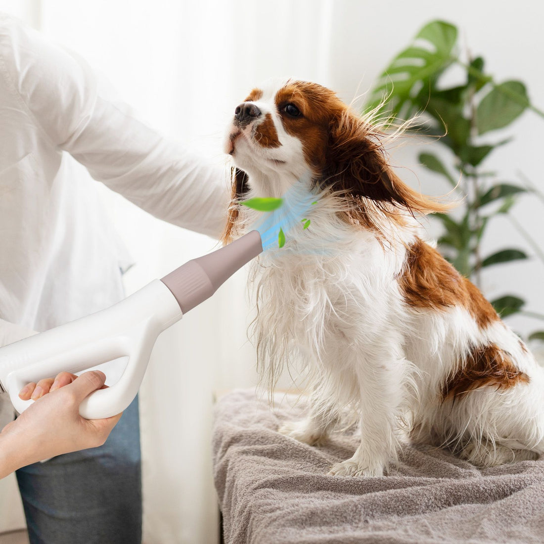 Dog Cat Hair Blower with Negative Ion Function and Adjustable Temperature - White