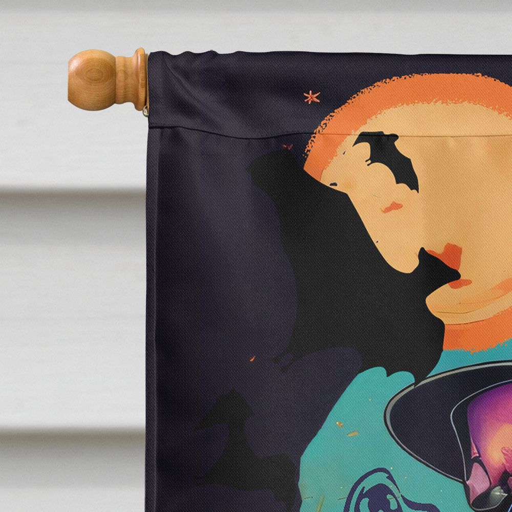 Boston Terrier Witchy Halloween House Flag House-Size Decorative Flag - product view 3
