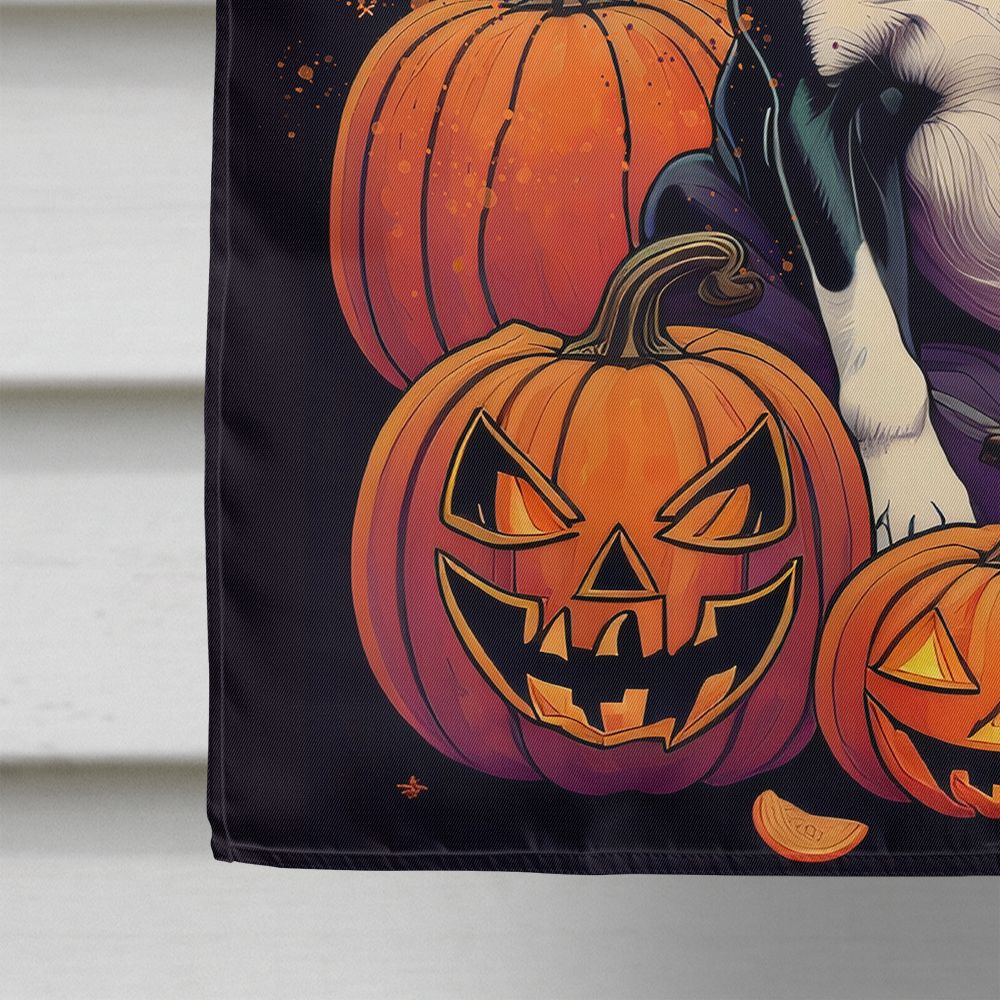 Boston Terrier Witchy Halloween House Flag House-Size Decorative Flag - product view 4