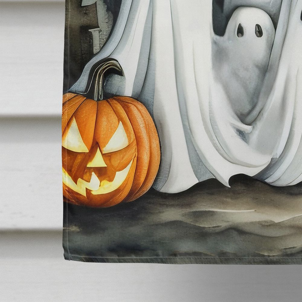 Ghosts Spooky Halloween House Flag House-Size Decorative Flag - product view 4