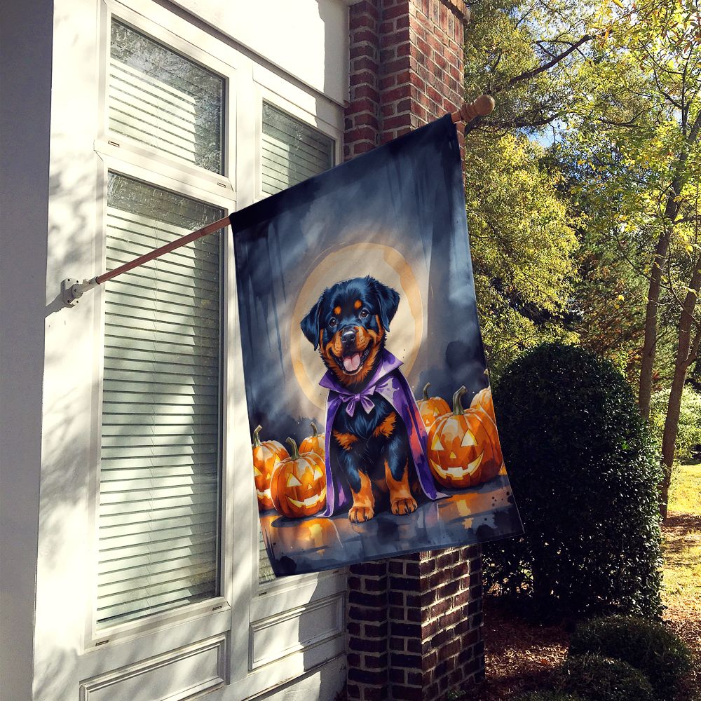 Rottweiler Puppy Halloween House Flag House-Size Decorative Flag