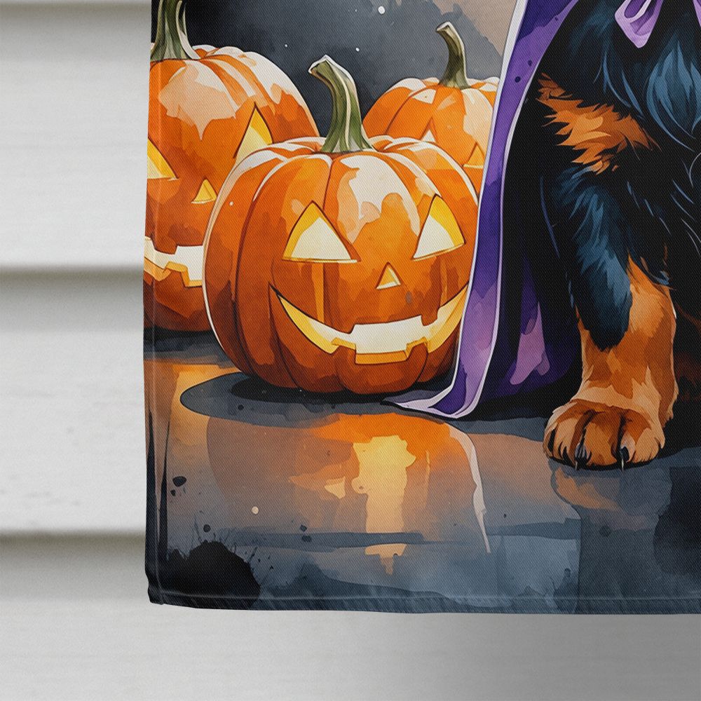 Rottweiler Puppy Halloween House Flag House-Size Decorative Flag - product view 4
