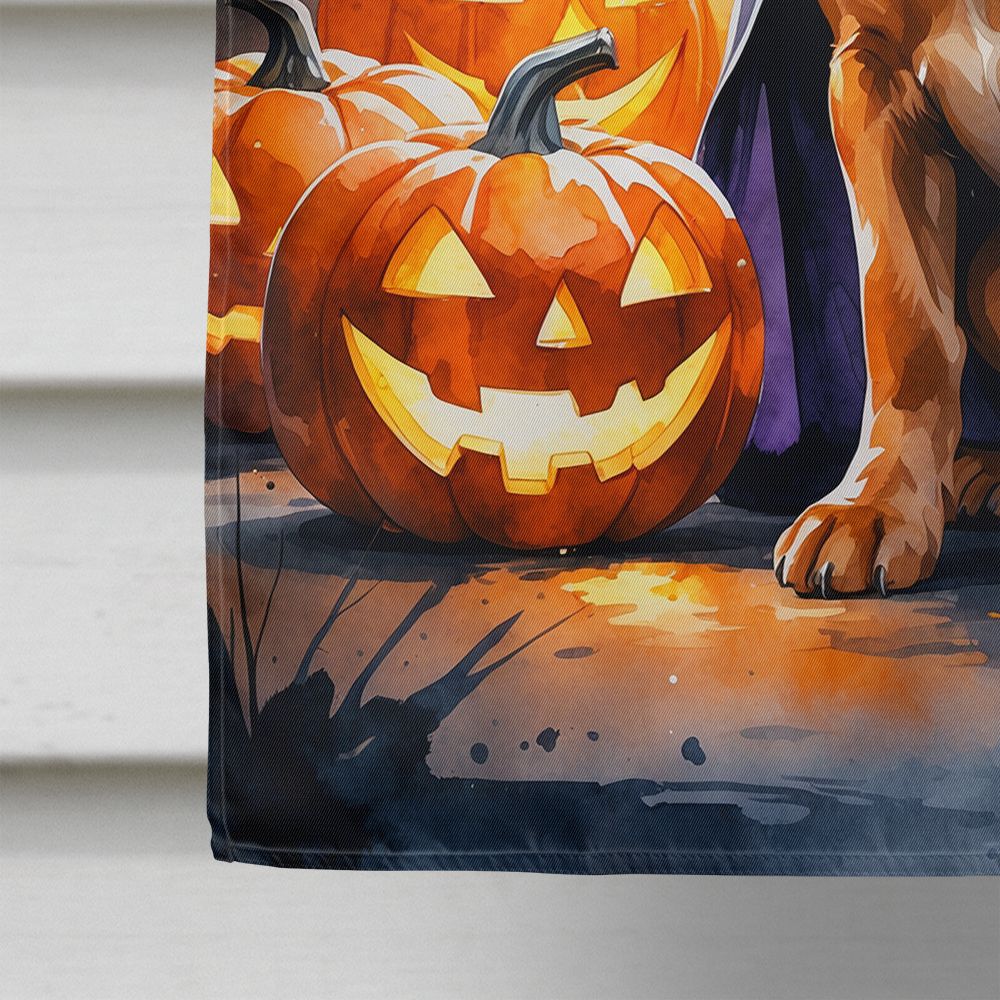 Vizsla Puppy Halloween House Flag House-Size Decorative Flag - product view 4