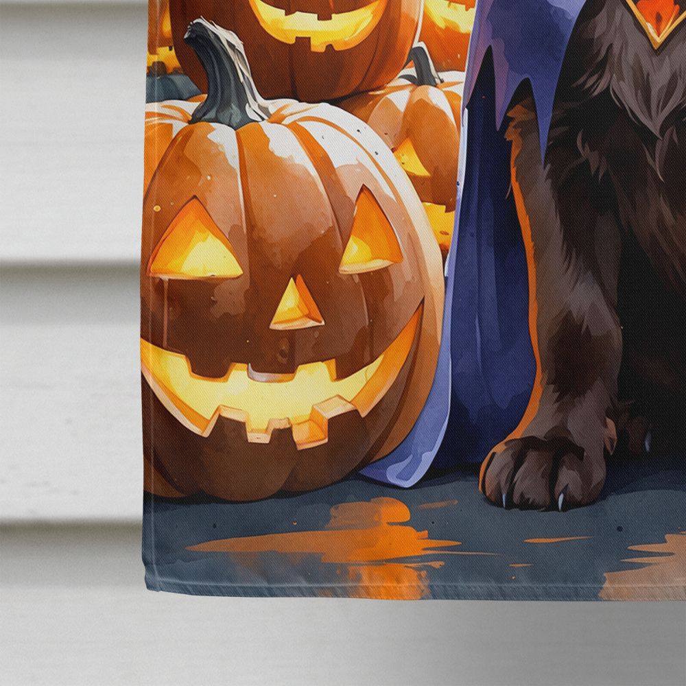 Chocolate Labrador Retriever Puppy Halloween House Flag House-Size Decorative Flag - product view 4
