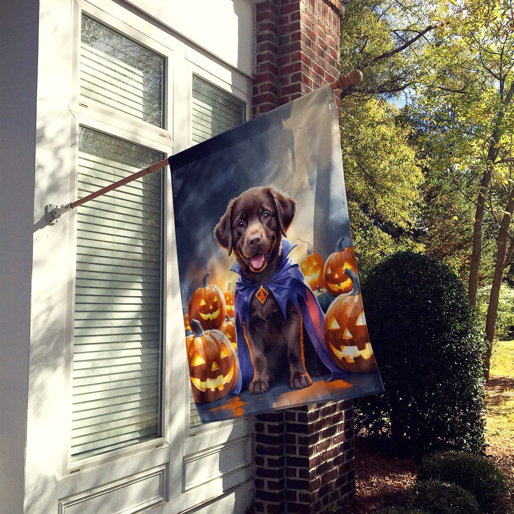 Chocolate Labrador Retriever Puppy Halloween House Flag House-Size Decorative Flag - product view 2