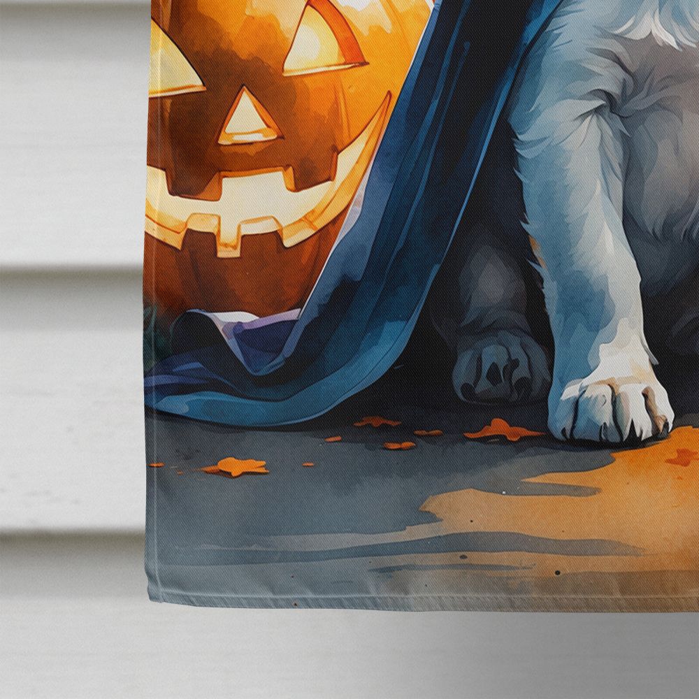 Jack Russell Terrier Puppy Halloween House Flag House-Size Decorative Flag - product view 4