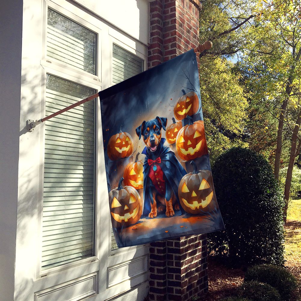 Doberman Pinscher Puppy Halloween House Flag House-Size Decorative Flag - product view 2