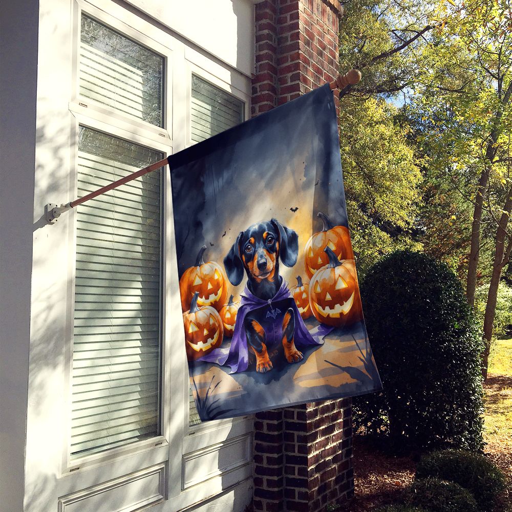 Dachshund Puppy Halloween House Flag House-Size Decorative Flag