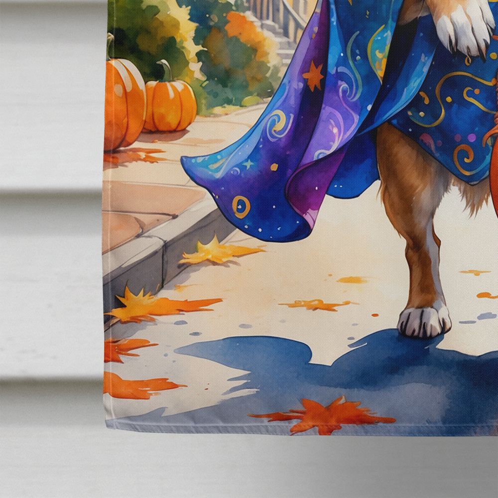Chihuahua Halloween Trick or Treat House Flag House-Size Decorative Flag - product view 4