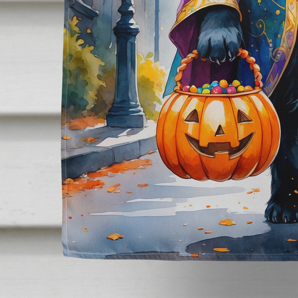 Newfoundland Halloween Trick or Treat House Flag House-Size Decorative Flag - product view 4