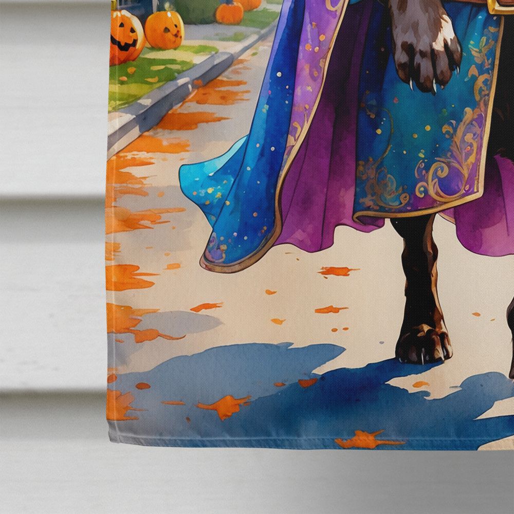 Chocolate Labrador Retriever Halloween Trick or Treat House Flag House-Size Decorative Flag - product view 4