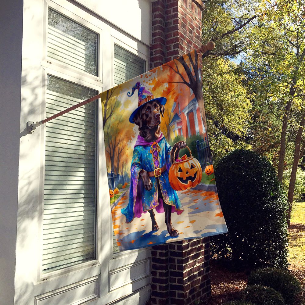 Chocolate Labrador Retriever Halloween Trick or Treat House Flag House-Size Decorative Flag - product view 2