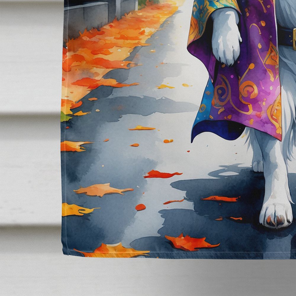 Border Collie Halloween Trick or Treat House Flag House-Size Decorative Flag - product view 4