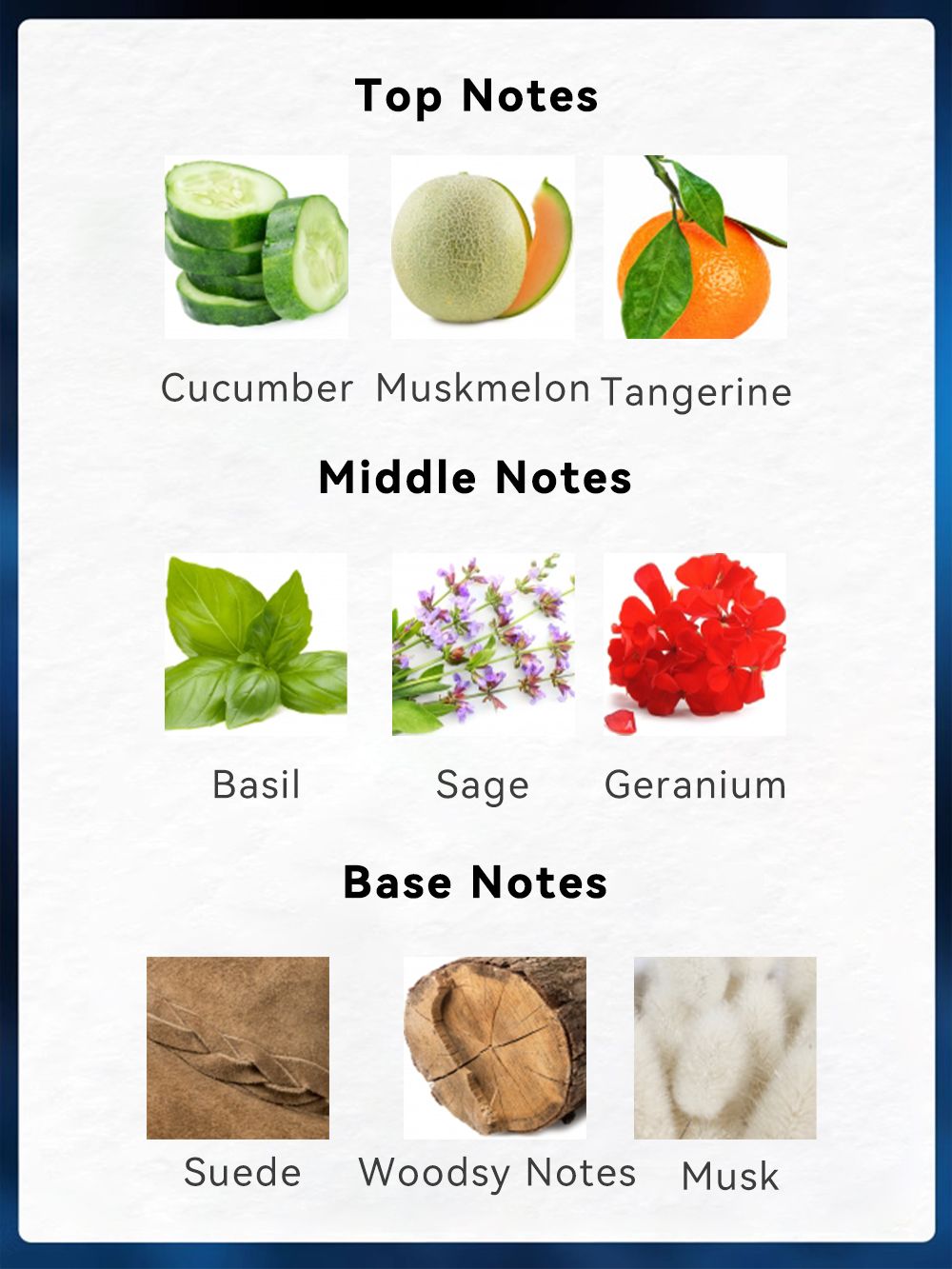 Men's Cucumber, Muskmelon & Tangerine Eau de Toilette, 3.4 fl oz - product view 15