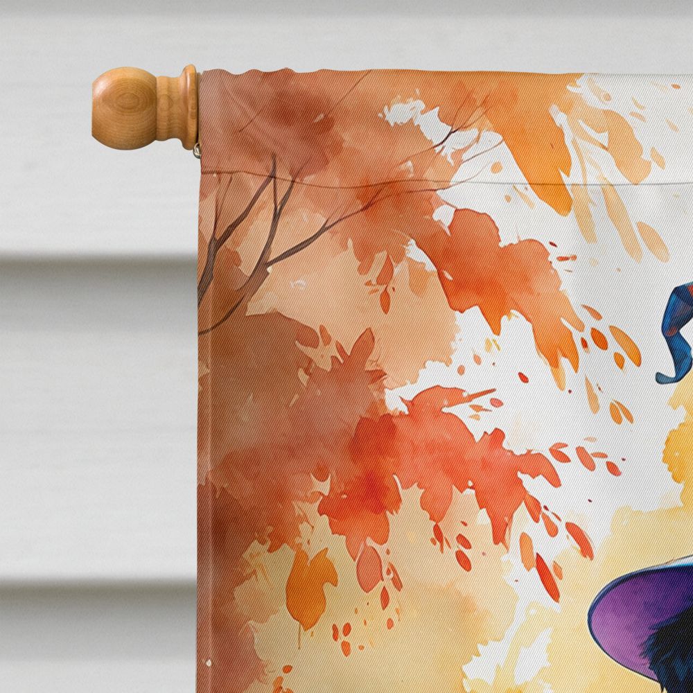 Bernese Mountain Dog Halloween Trick or Treat House Flag House-Size Decorative Flag - product view 3