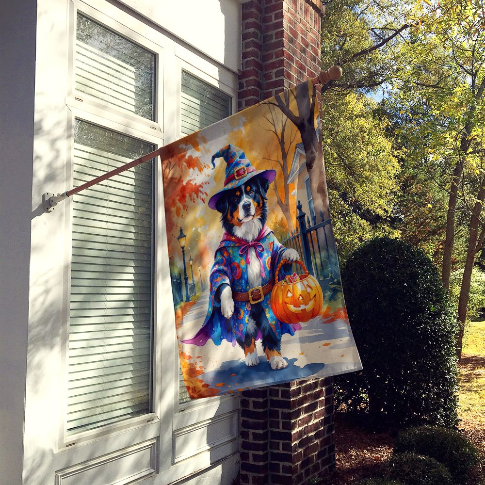 Bernese Mountain Dog Halloween Trick or Treat House Flag House-Size Decorative Flag - product view 2