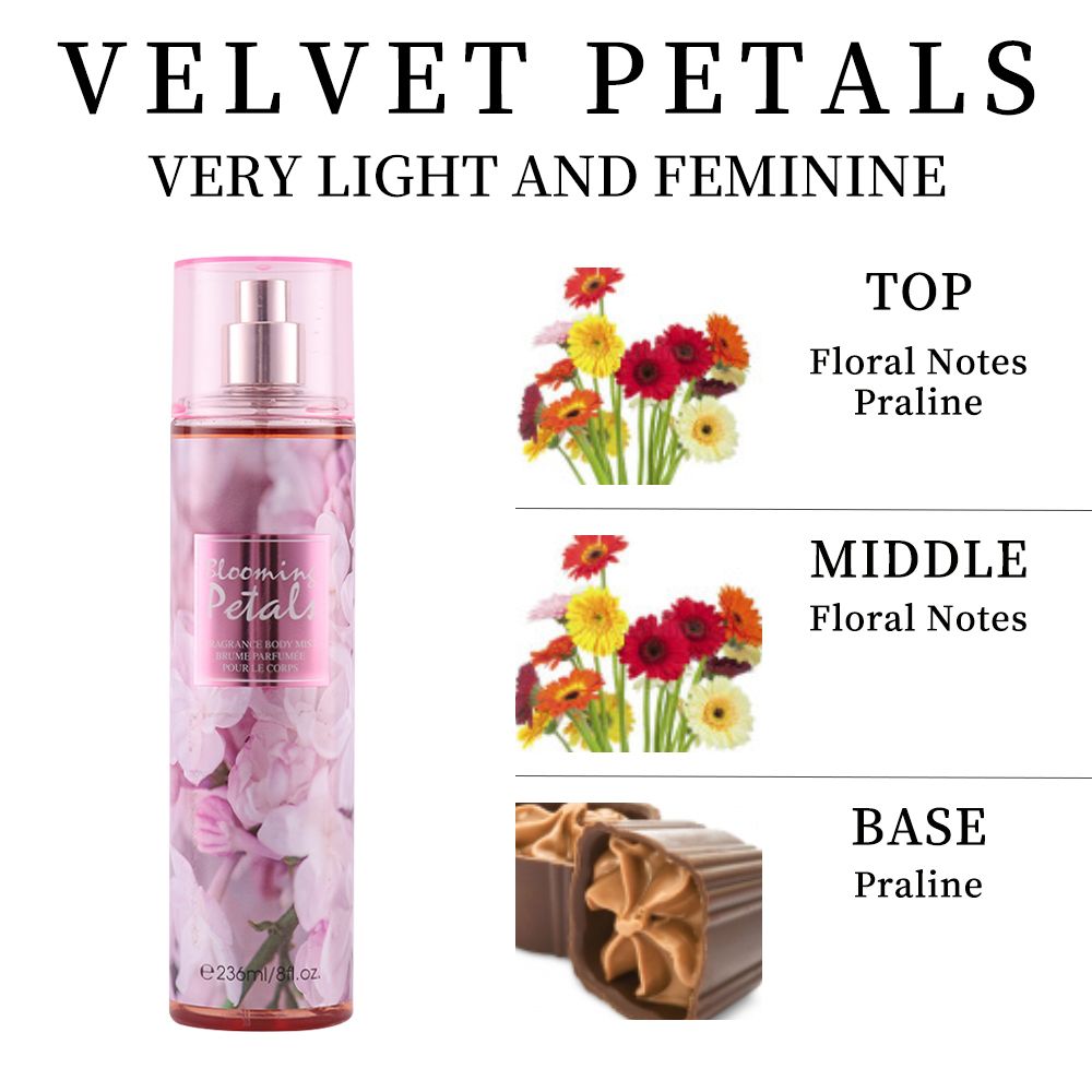 Women's Floral Hair & Body Fragrance Mist, 8 fl oz