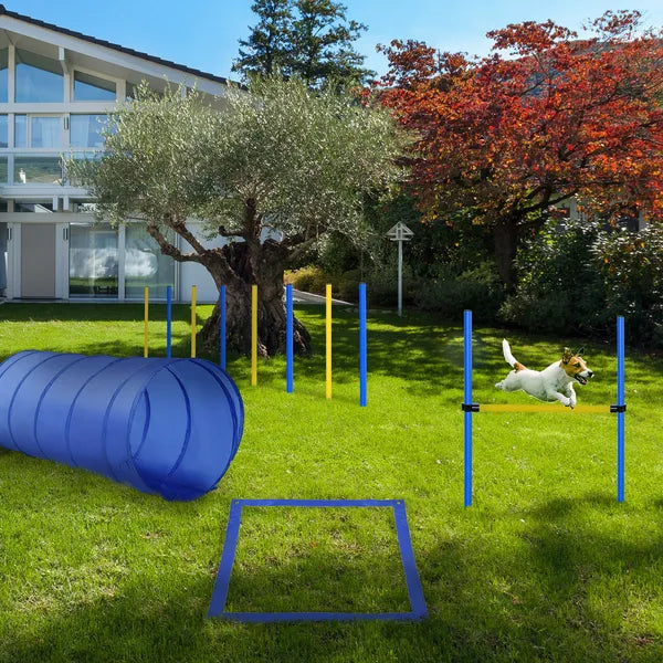 PawHut Dog Agility Tools 4PCS Set PE Jumps Stop Box Outdoor Training Equipment Blue Yellow - product image 9