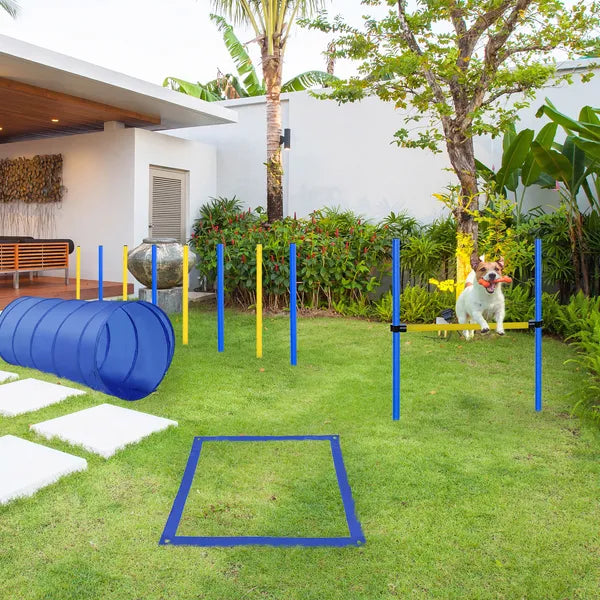 PawHut Dog Agility Tools 4PCS Set PE Jumps Stop Box Outdoor Training Equipment Blue Yellow - product image 8
