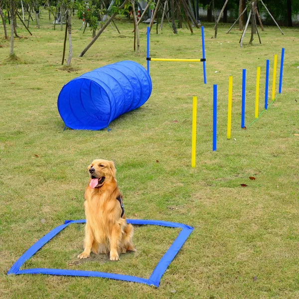 PawHut Dog Agility Tools 4PCS Set PE Jumps Stop Box Outdoor Training Equipment Blue Yellow - product image 2