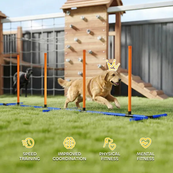 PawHut Dog Agility Training Equipment Adjustable Poles for Dog Agility Course with Carry Bag - product image 6