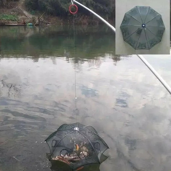 Foldable Fishing Bait Trap Net for Crab Crawdad Shrimp Minnow and Fish - product view 12